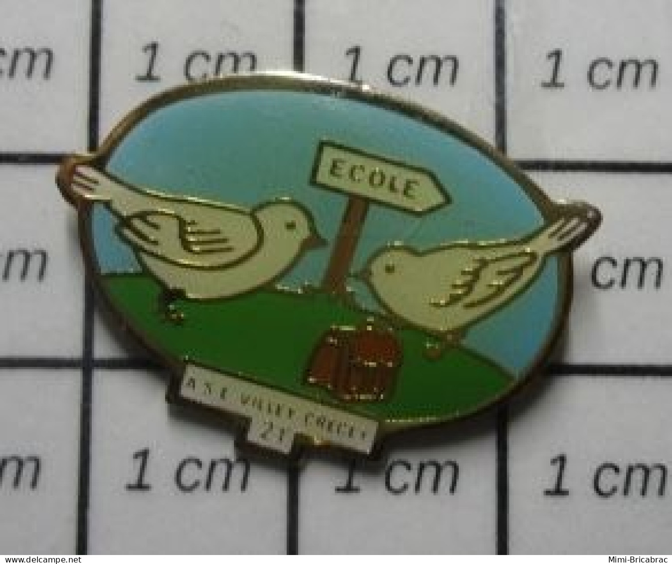 211c Pin's Pins / Beau Et Rare / ADMINISTRATIONS / ECOLE VILLEY CRECEY OISEAUX MOINEAU CARTABLE - Administraties