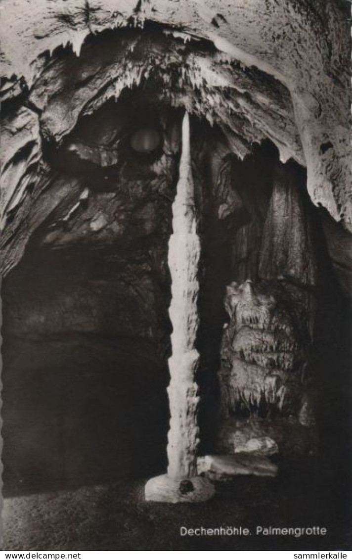 41976 - Dechenhöhle - Palmengrotte - 1964 - Iserlohn