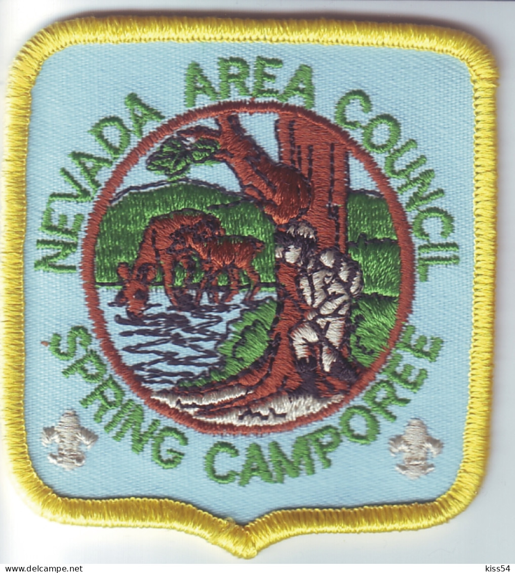 B 19 - 57 USA Scout Badge - Nevada Area Council  - Scouting