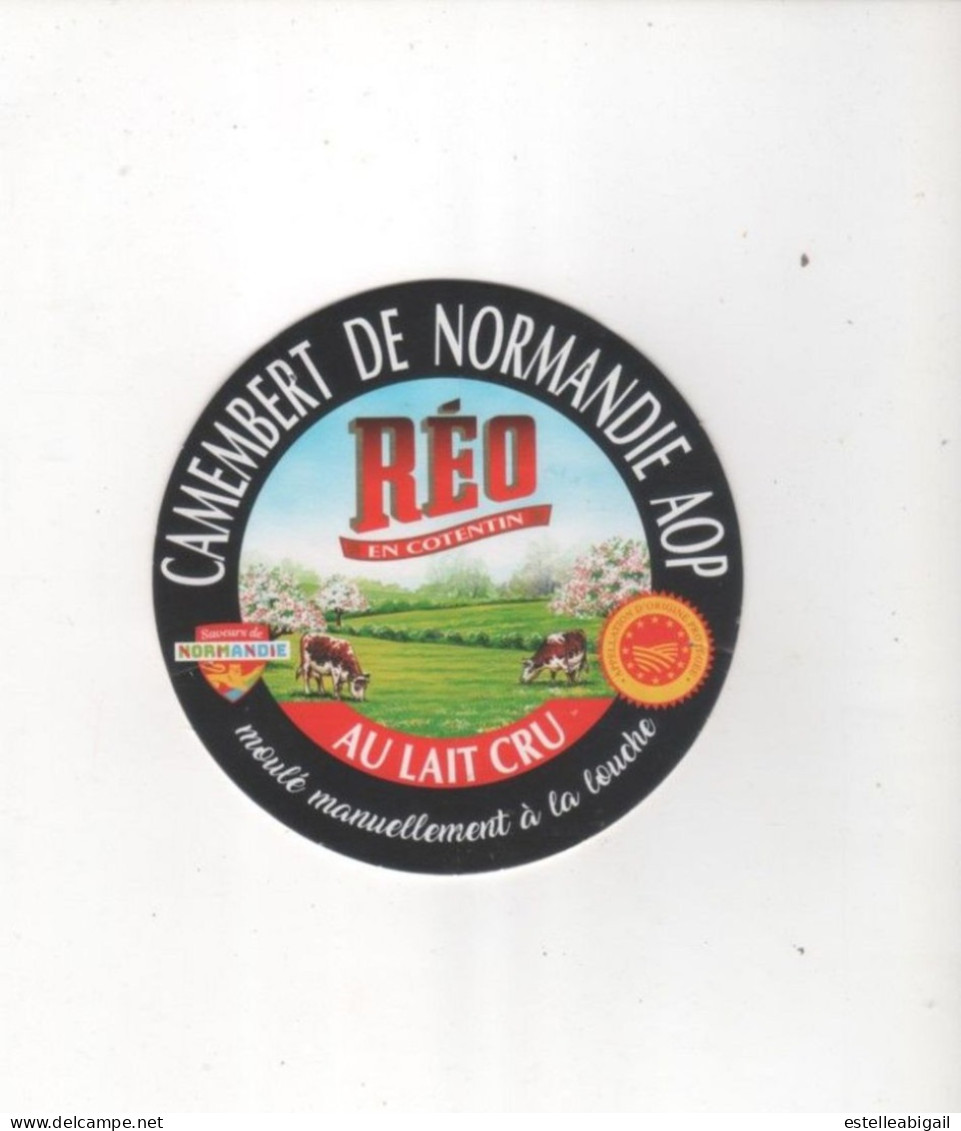 Camembert Reo - Fromage