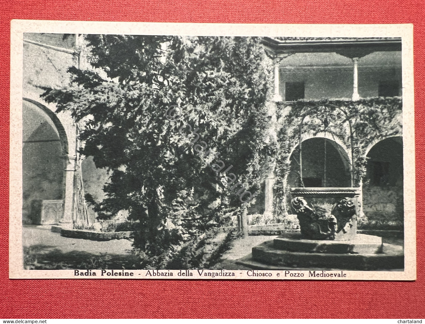 Cartolina - Badia Polesine ( Rovigo ) - Abbazia Della Vangadizza - 1925 Ca. - Rovigo