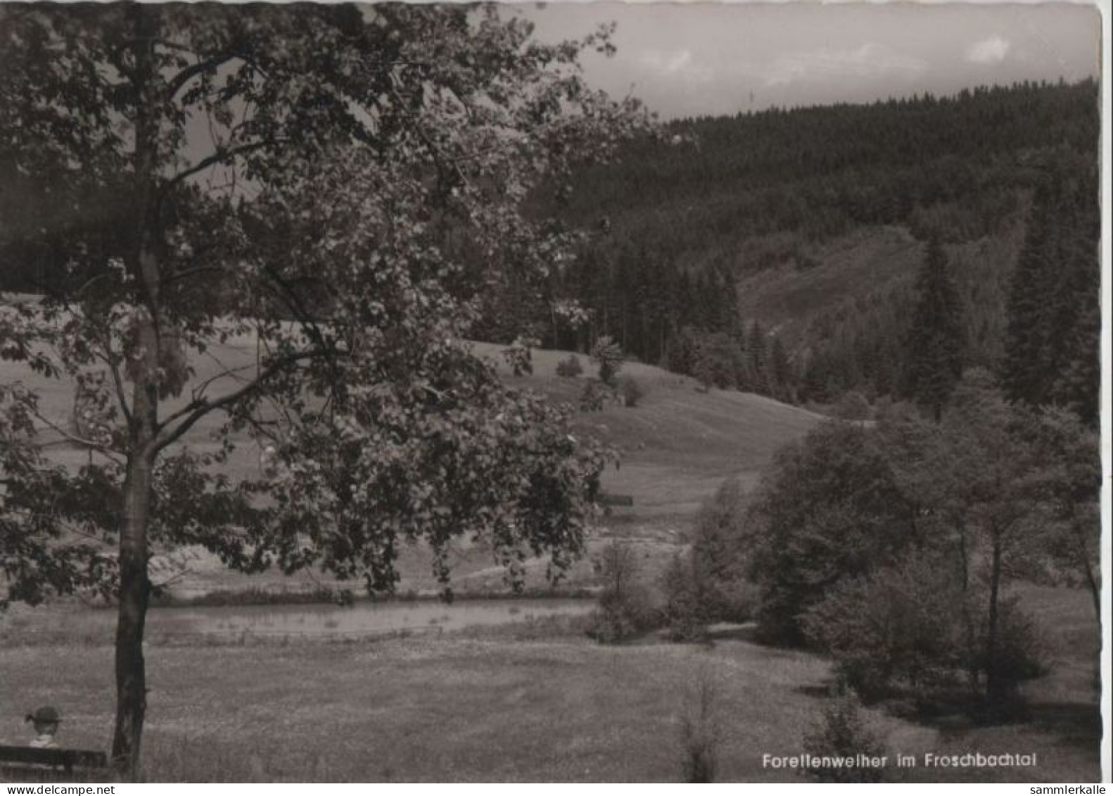 67632 - Bad Steben-Bobengrün - Gasthaus Rübezahl - Ca. 1970 - Bad Steben