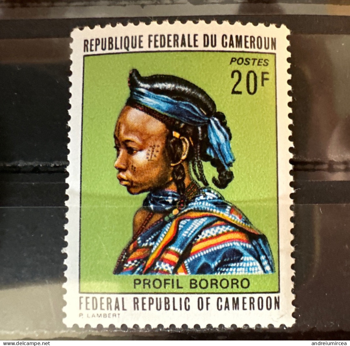 Profil Bororo - Kamerun (1960-...)