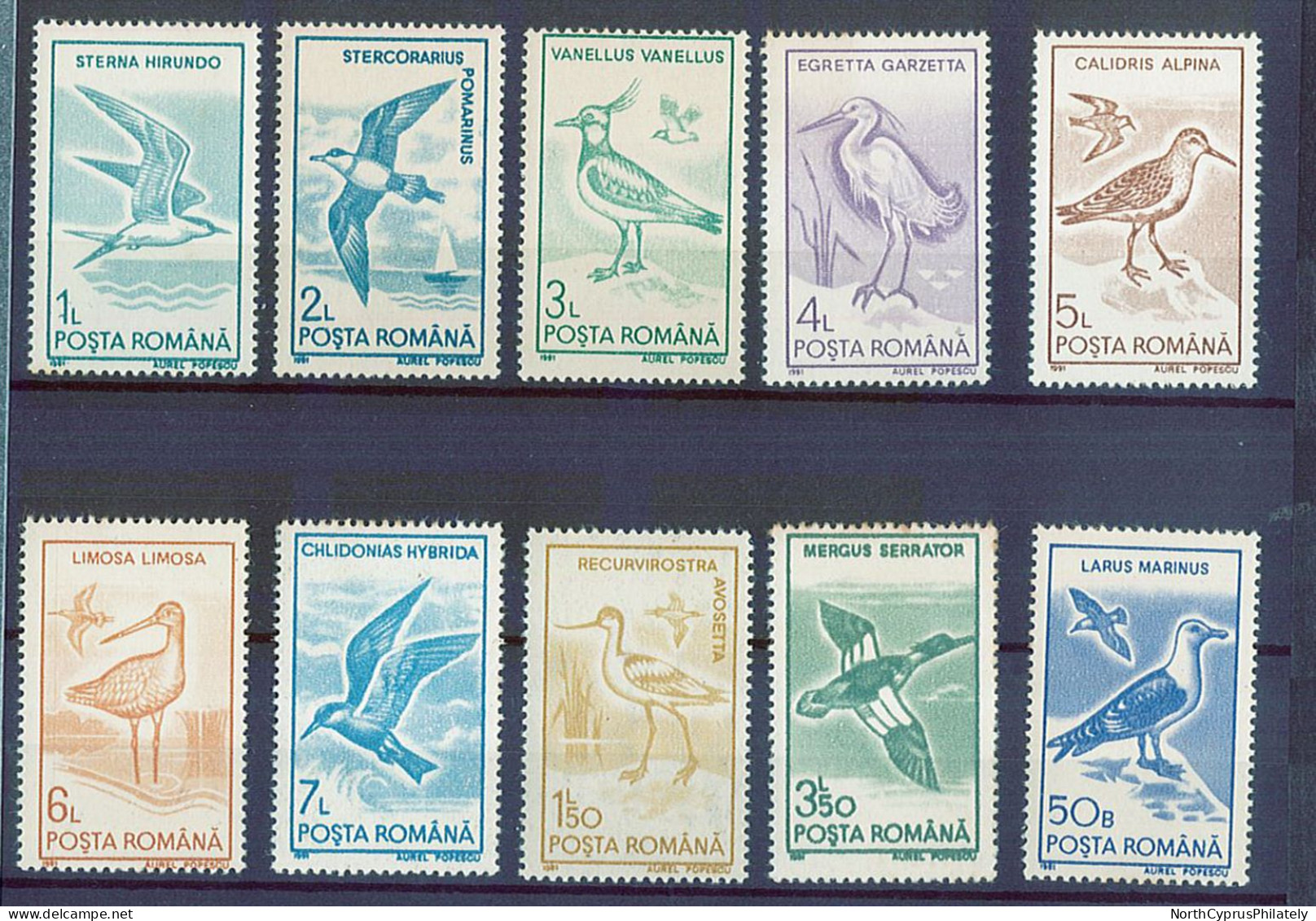 Romania 1981 Bird Marine , MNH - Marine Web-footed Birds