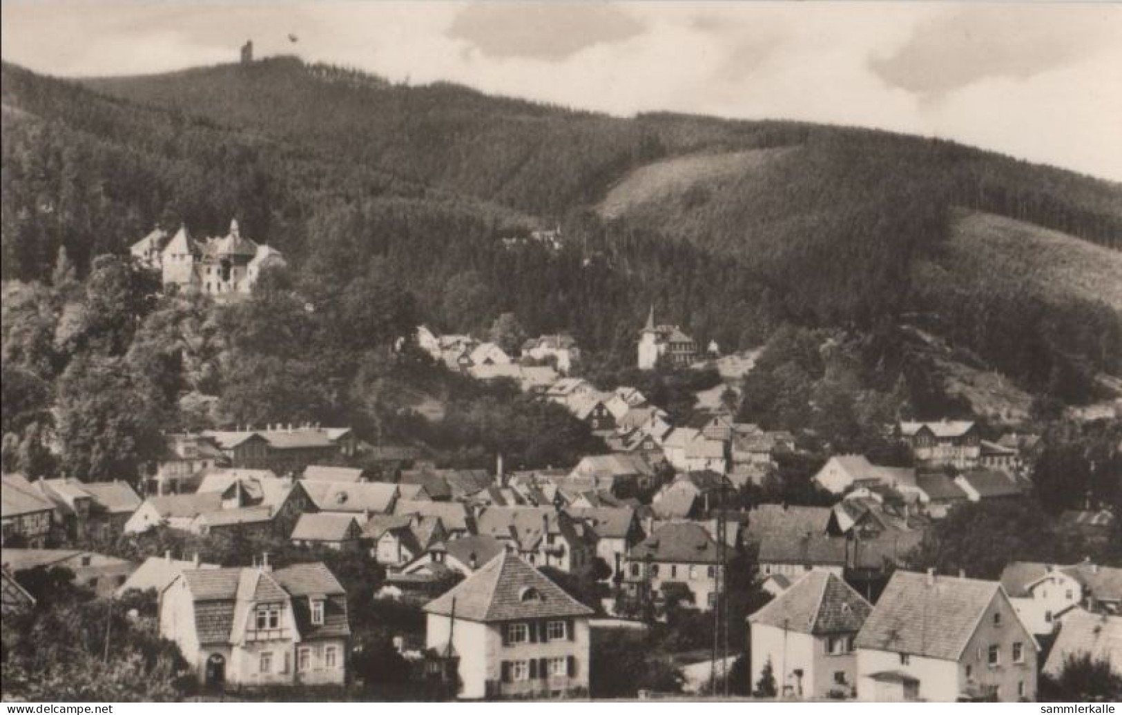 85432 - Elgersburg - Blick Zur Hohen Warte - 1969 - Elgersburg