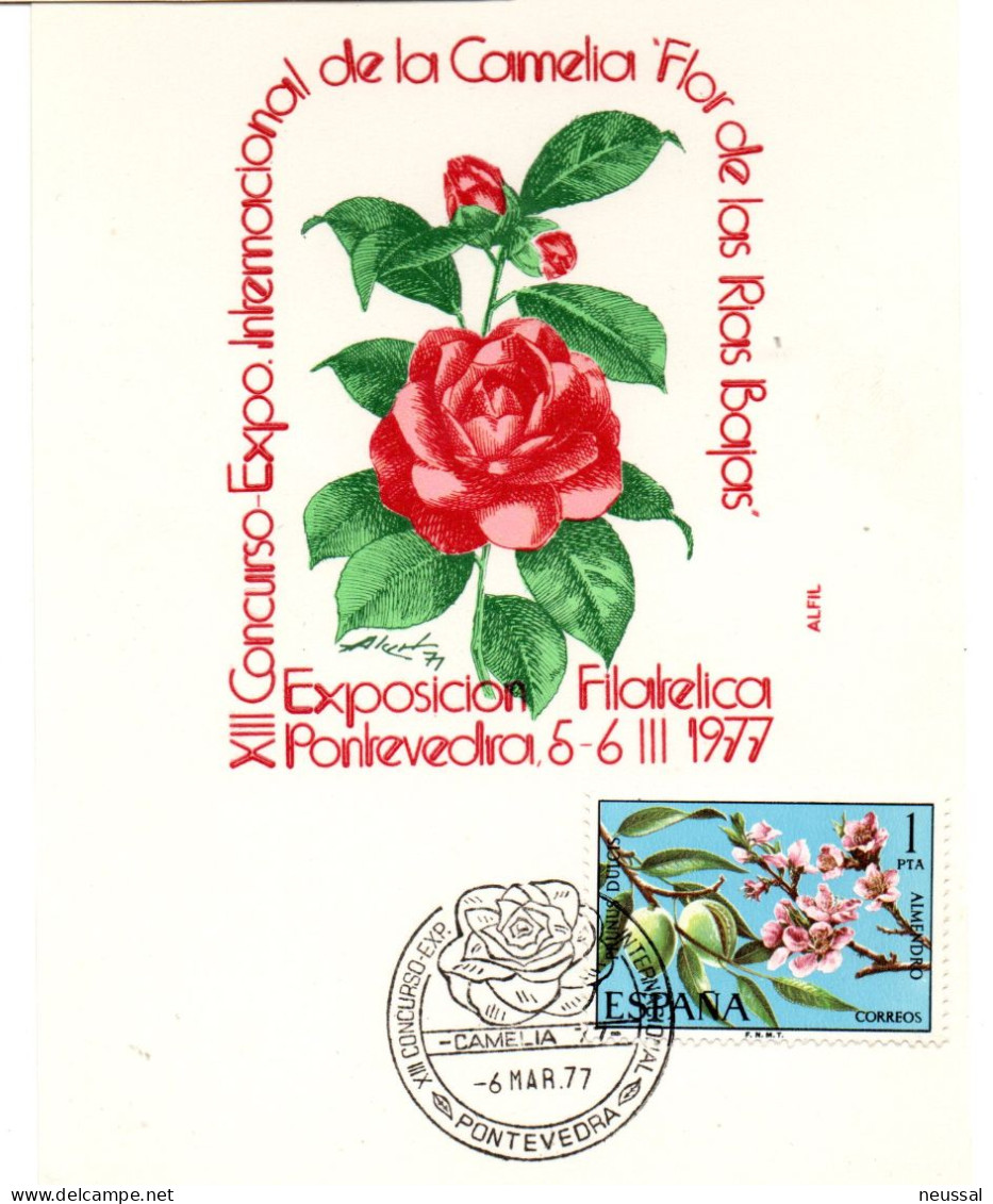 Tarjeta Con Matasellos Commemorativo De Concurso Camelia De 1977 - Lettres & Documents