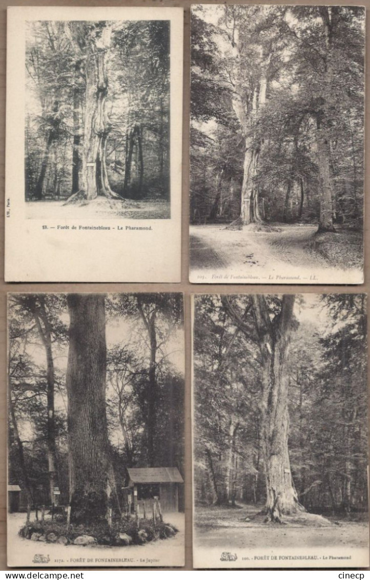 LOT 20 CPA ARBRES - NATURE - TB GROS PLAN ARBRE REMARQUABLE Nommés Dont Chêne - Árboles