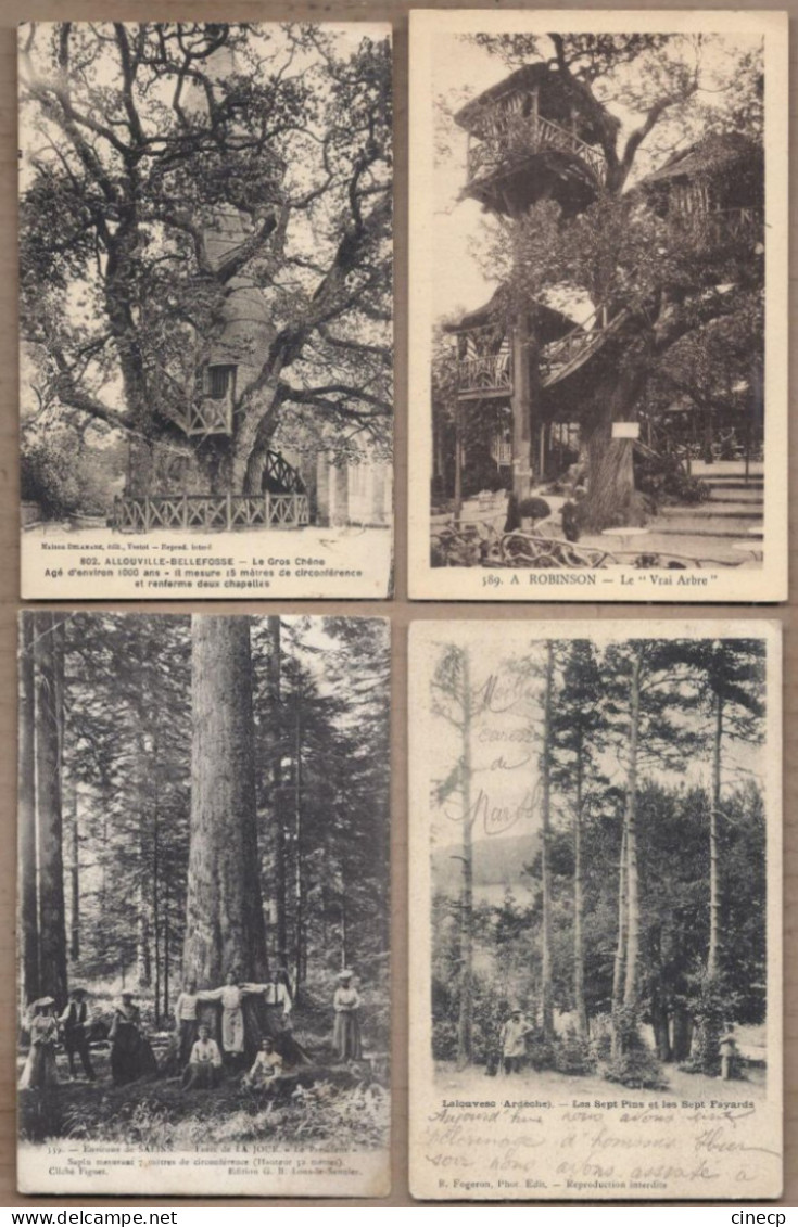 LOT 20 CPA ARBRES - NATURE - TB GROS PLAN ARBRE REMARQUABLE Nommés Dont Chêne - Árboles