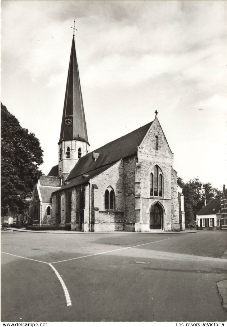 BELGIQUE - Kruibeke - Bazel - St Pieterskerk - Carte Postale - Kruibeke