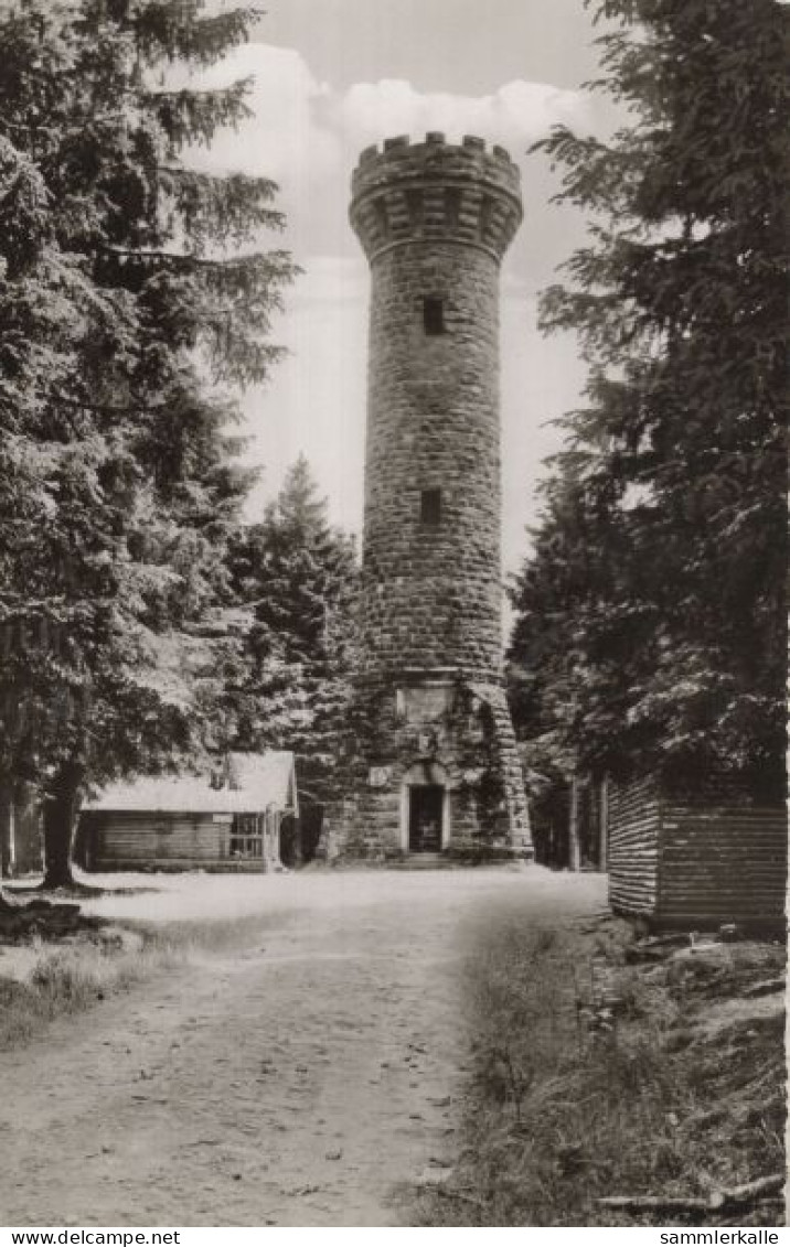 134349 - Gernsbach-Kaltenbronn - Hohlohturm - Gernsbach