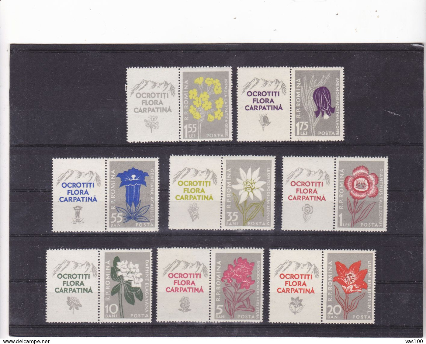 Romania 1957 Flowers/Carpathian Mountains/Edelweiss Lily Anemone Rhododendron **MNH - Unused Stamps