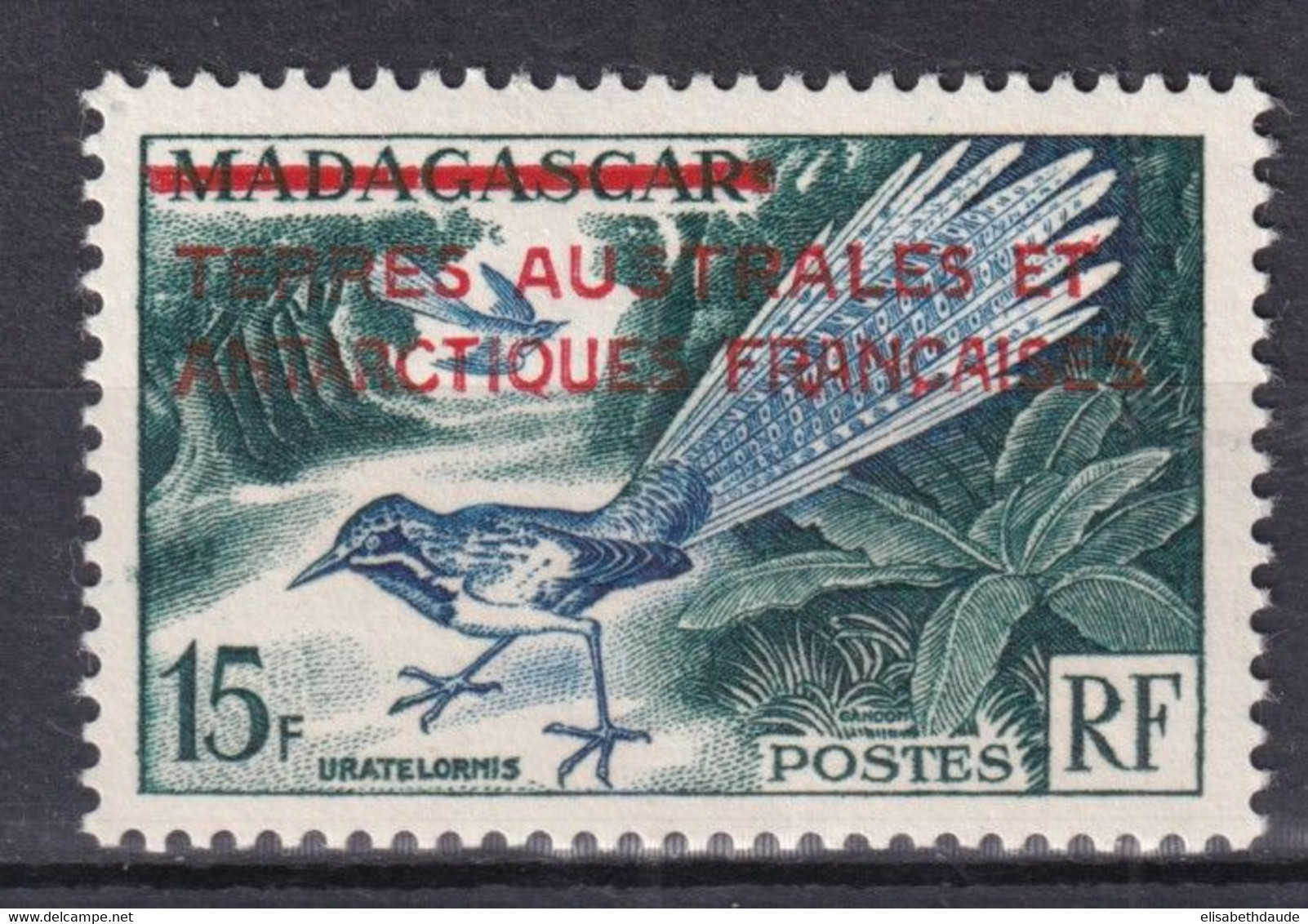 TAAF - 1955 - YVERT N°1 ** MNH - COTE = 22 EUR. - OISEAUX - Neufs