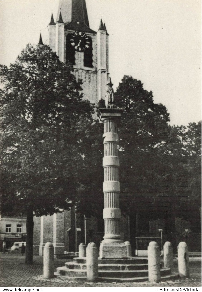 BELGIQUE - Wommelgem - De Kaeck - St Petruskerk - Carte Postale - Wommelgem