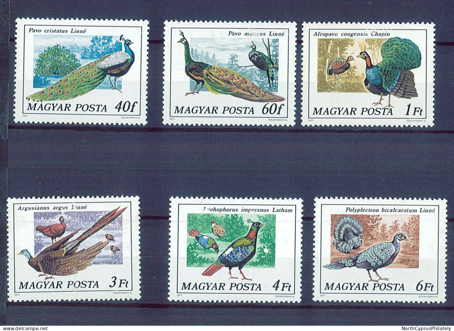 Magyar 1961 Birds Songbirds , MNH - Pavos Reales