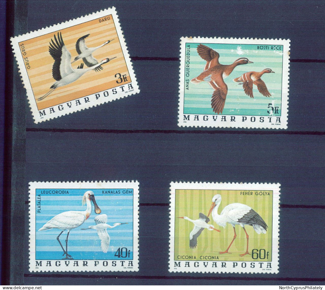 Magyar 1976 Birds Marine , MNH - Albatros & Stormvogels