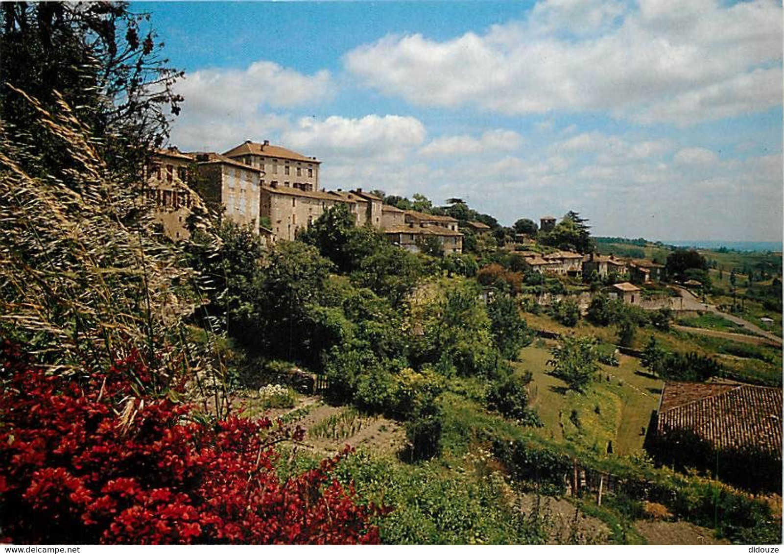 82 - Montpezat De Quercy - Vue Générale - Carte Neuve - CPM - Voir Scans Recto-Verso - Montpezat De Quercy