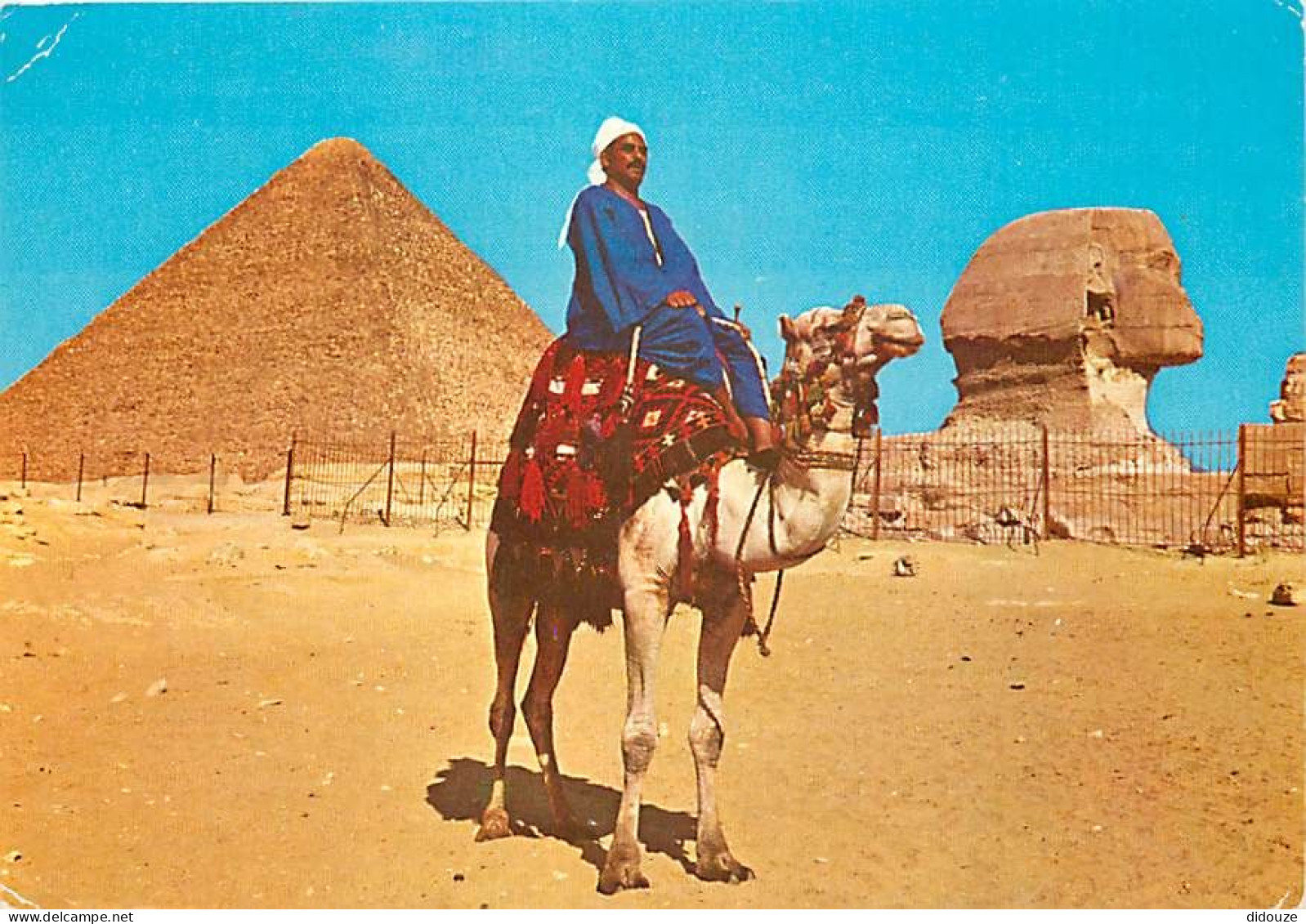 Egypte - Gizeh - Giza - Camel Driver Near The Sphinx And Pyramid Of Khufu - Chamelier - Chameaux - Voir Timbre - CPM - V - Gizeh