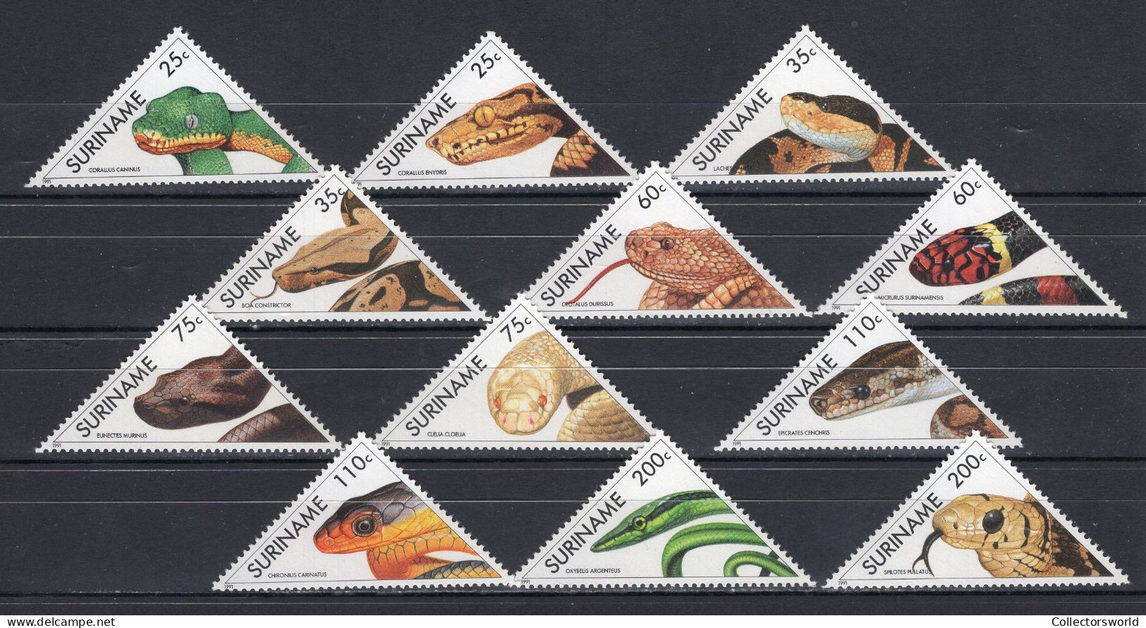 Surinam 1991 Serie 12v Snakes Reptiles Serpent Serpiente MNH - Surinam