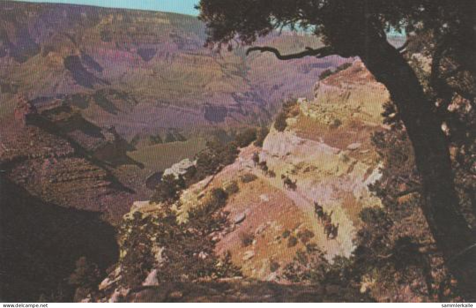 6911 - USA, Arizona - Grand Canyon - Mule Train - 1977 - Andere & Zonder Classificatie