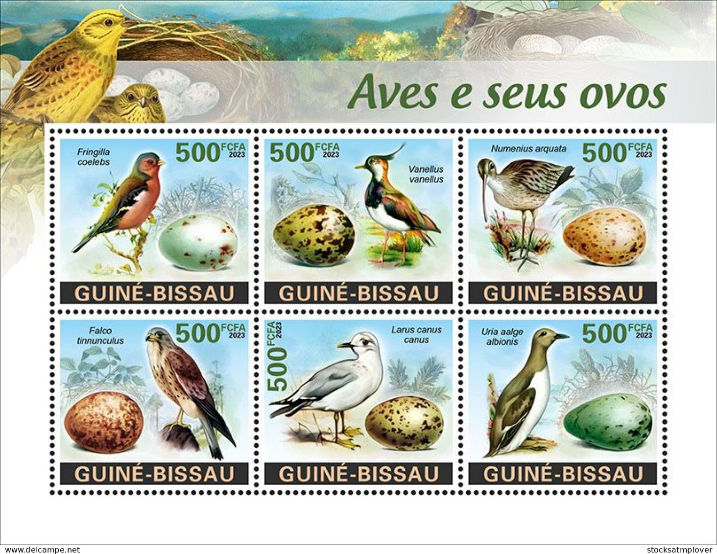 Guinea Bissau 2023 Birds And Their Eggs S202402 - Guinée-Bissau