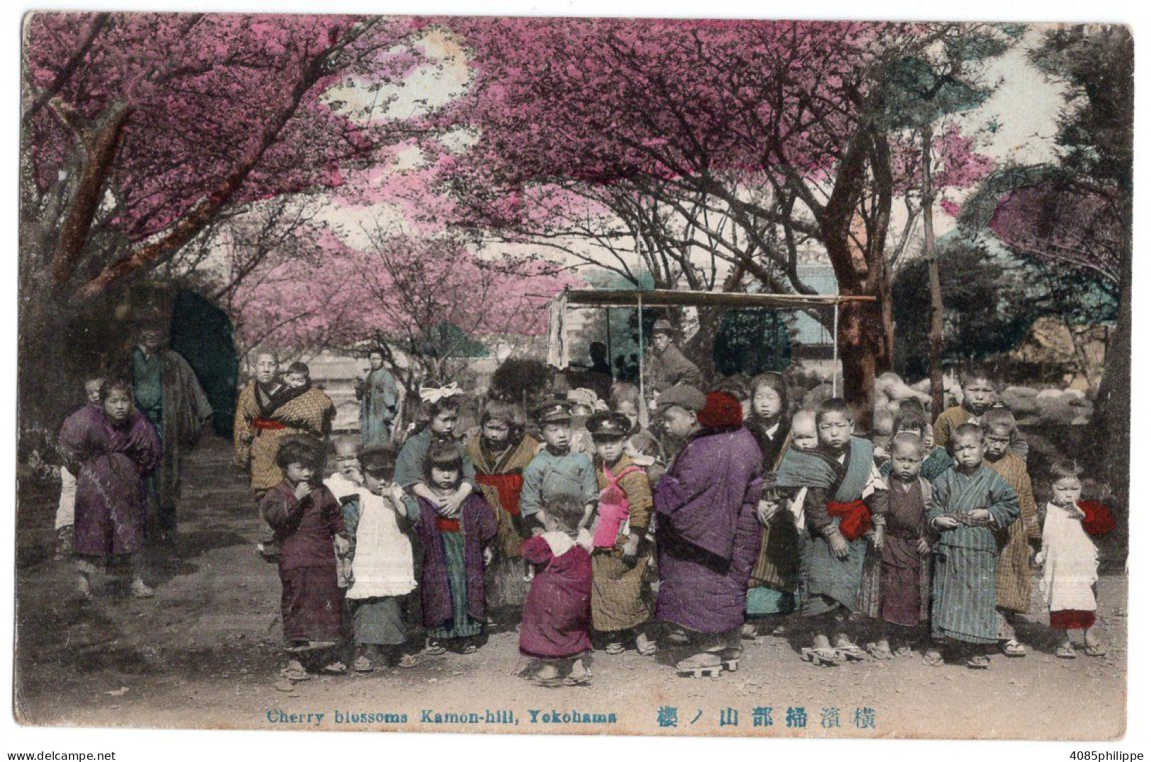 Japon, YOKOHAMA Cherry Blossoms Kamon-hill - Yokohama