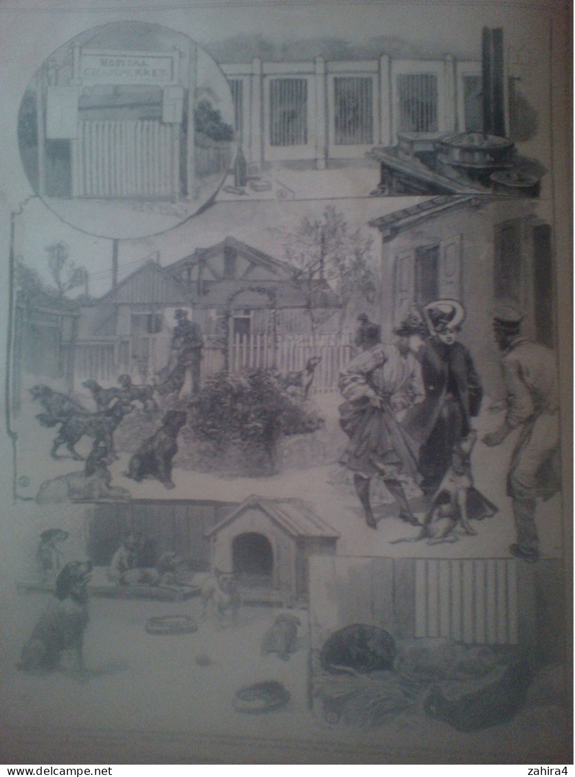 Grand Illustré Dépèche Loubet Casse Rambouillet Guerre Russe-Japon Hôpital D'animal Mandchourie Roi Portugal à Cherbourg - 1900 - 1949