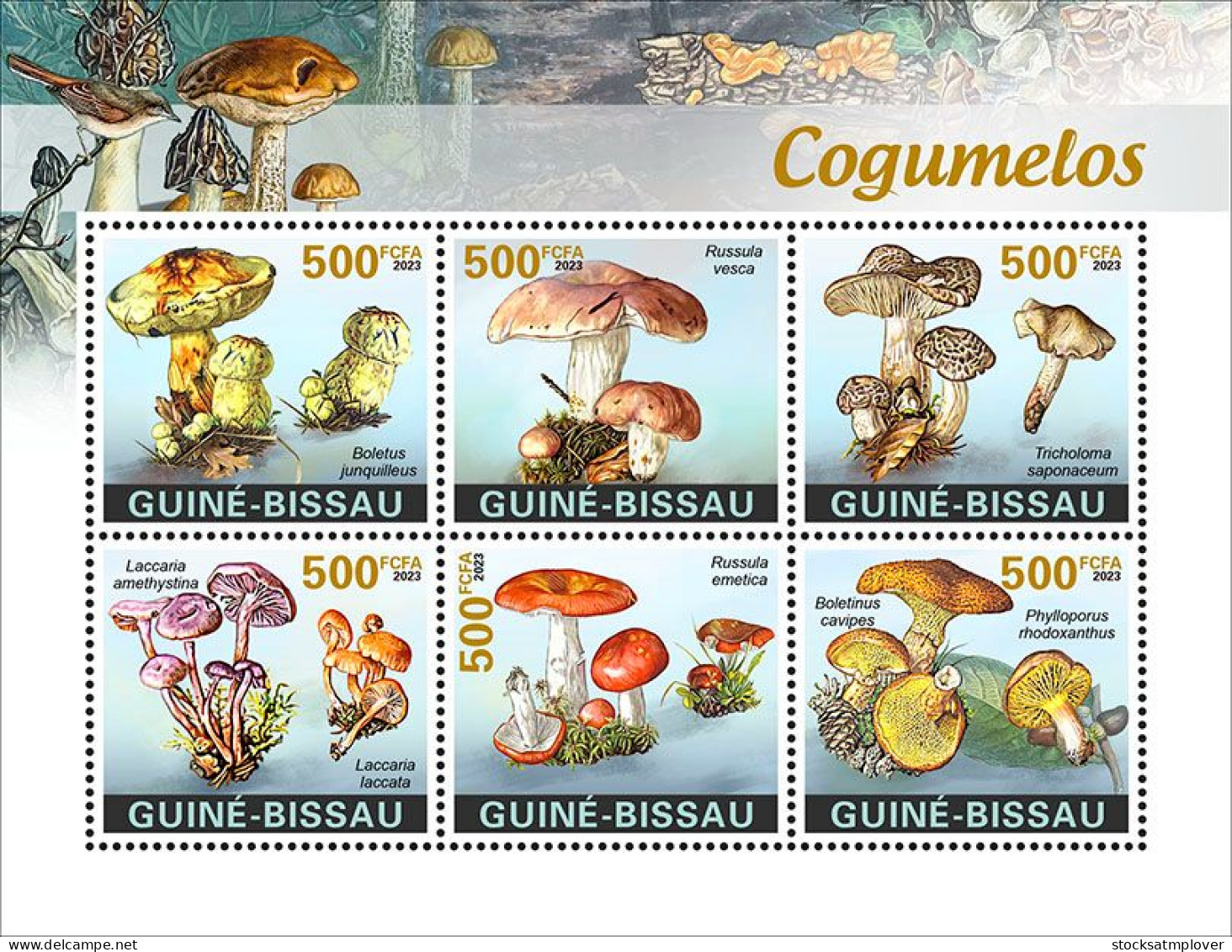 Guinea Bissau 2023 Mushrooms S202402 - Guinée-Bissau