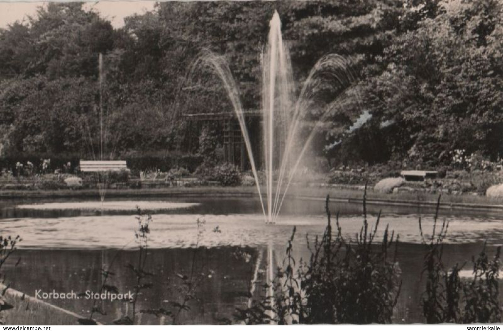 84666 - Korbach - Stadtpark - Ca. 1960 - Korbach