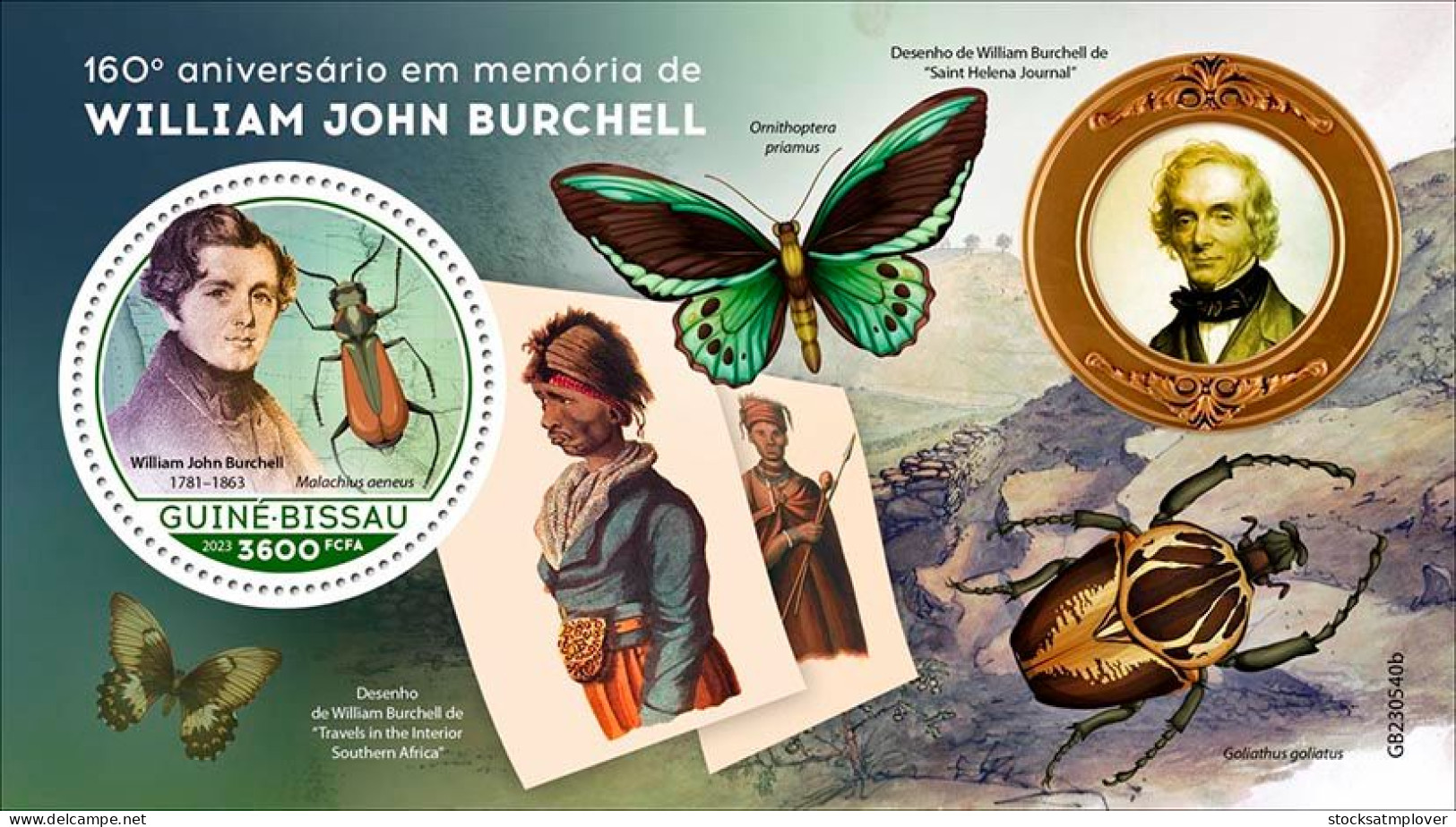 Guinea Bissau 2023 Insects Butterflies W. Burchell S202402 - Guinée-Bissau