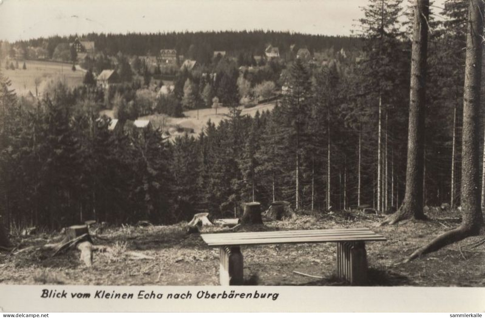 125797 - Altenberg-Oberbärenburg - Blick Vom Kleinen Echo - Altenberg