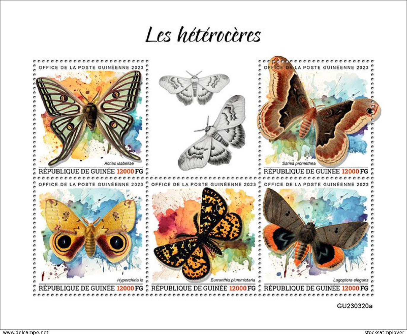 Guinea 2023 Moths Butterflies S202402 - Guinee (1958-...)