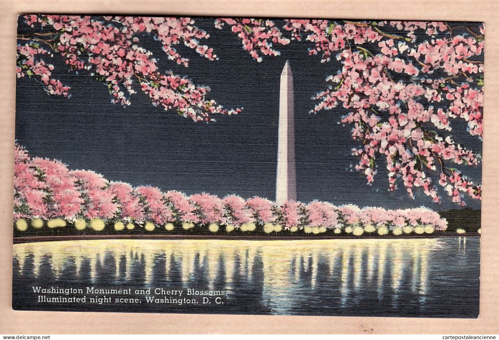 23947 / ⭐ MONUMENT Illuminated Famous Japanese Cherry Blossoms WASHINGTON DC Published COLORCHROME WC News Company 65832 - Washington DC