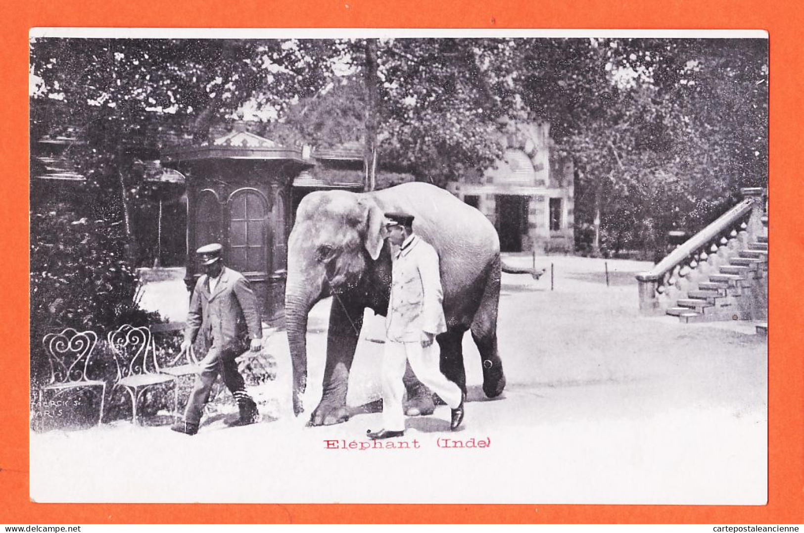 23833 / ELEPHANT Inde 1900s à COURTY Chez COMBES Rue Peyre St André De Sangonis / STAERCK  - India