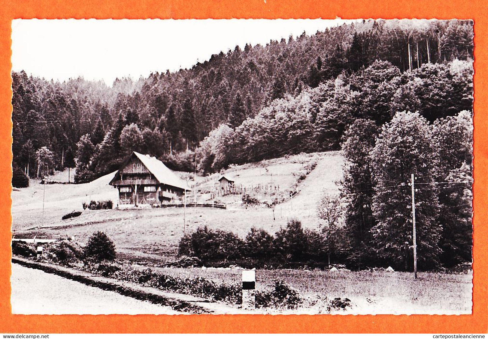 23626 / Environs OFFENBOURG Offenburg Ferme Forêt NOIRE Bade-Wurtember 1950s ESTEL LAVELLE  - Überlingen