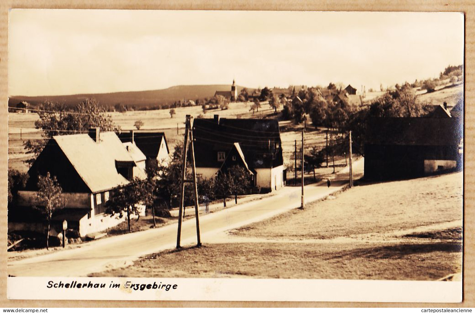 23712 / Rare SCHELLERHAU Im ERZGEBIRGE Sachsen 1950s Photo EULITZ Radeburg Carte-Bromure Peu Commun Deutschland - Schellerhau