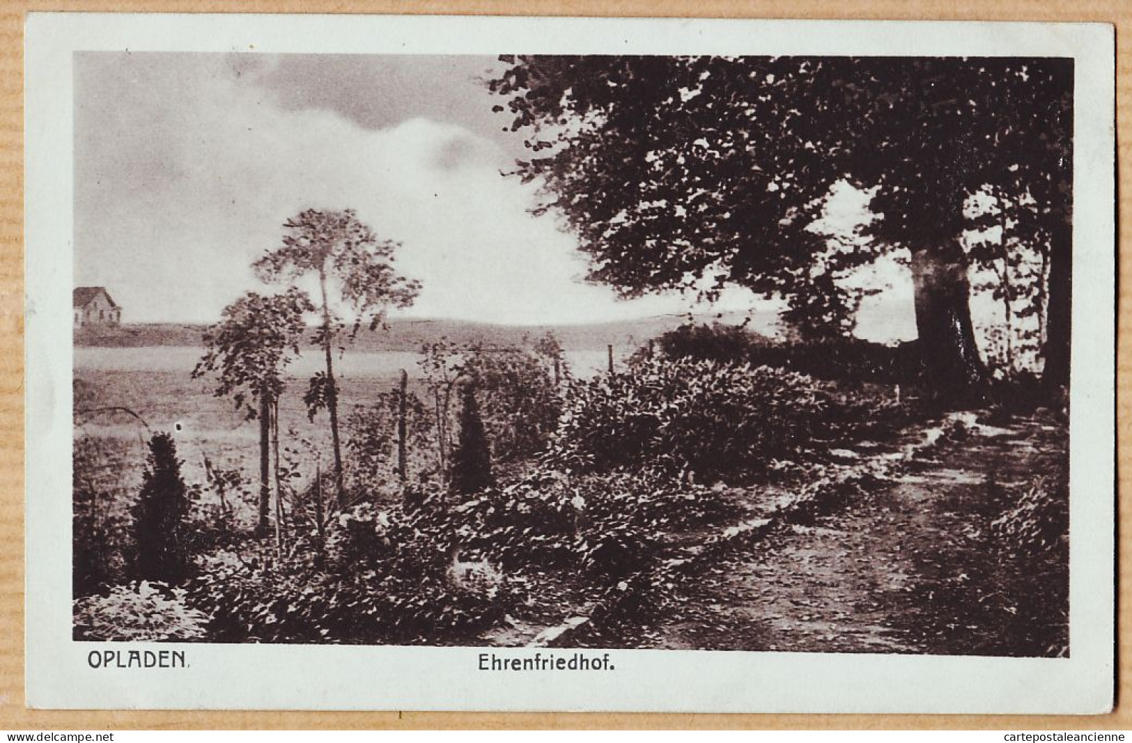 23725 / Rare OPLADEN Leverkusen Ehrenfriedhof Cimetière Tombes Soldats CpaWW1 Guerre 1914-18 MAX BIEGEL  Elberfeld - Leverkusen