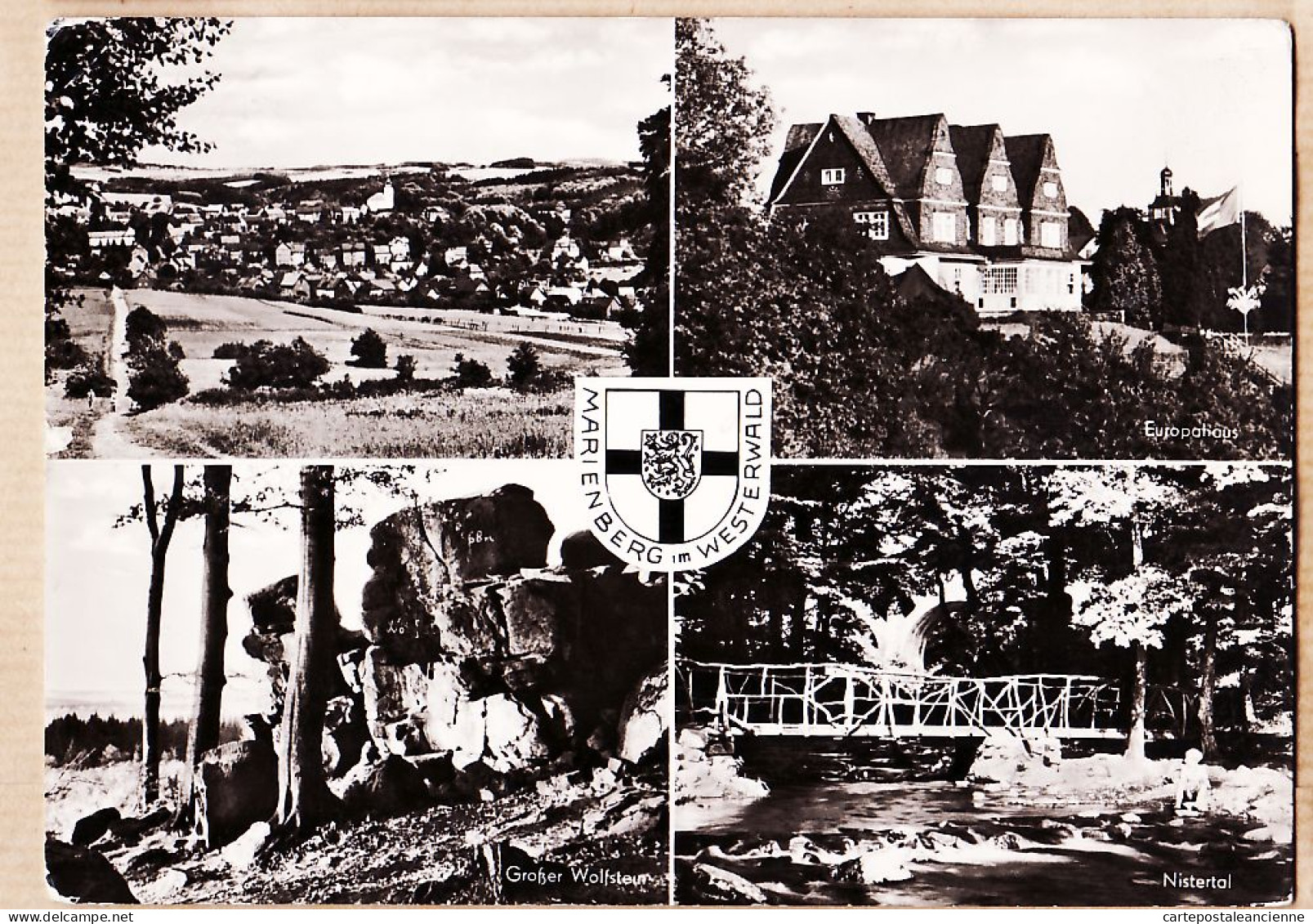 23658 / MARIENBERG Im WESTERWALD Europahaus Nistertal Grosser Wolfstein 03-09-1957- KÖNIGSMANN-RÖDER  - Bad Marienberg