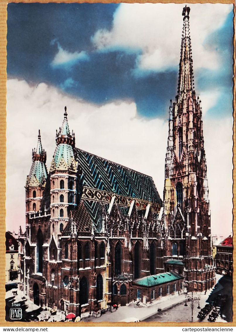 23645 / Großkarte WIEN Stephansdom VIENNE Cathédrale SAINT-ETIENNE St VIENNA 1950s Photo-Bromure RIESEN-KARTE PAG - Stephansplatz