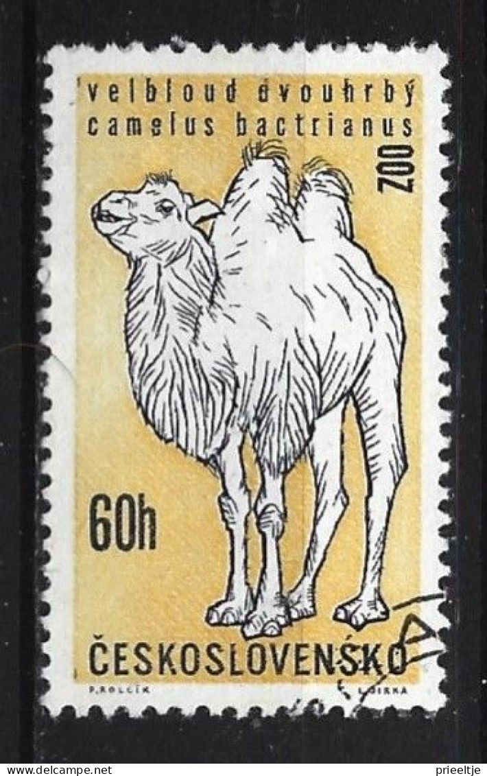 Ceskoslovensko 1962 Prague Zoo  Y.T. 1216 (0) - Used Stamps