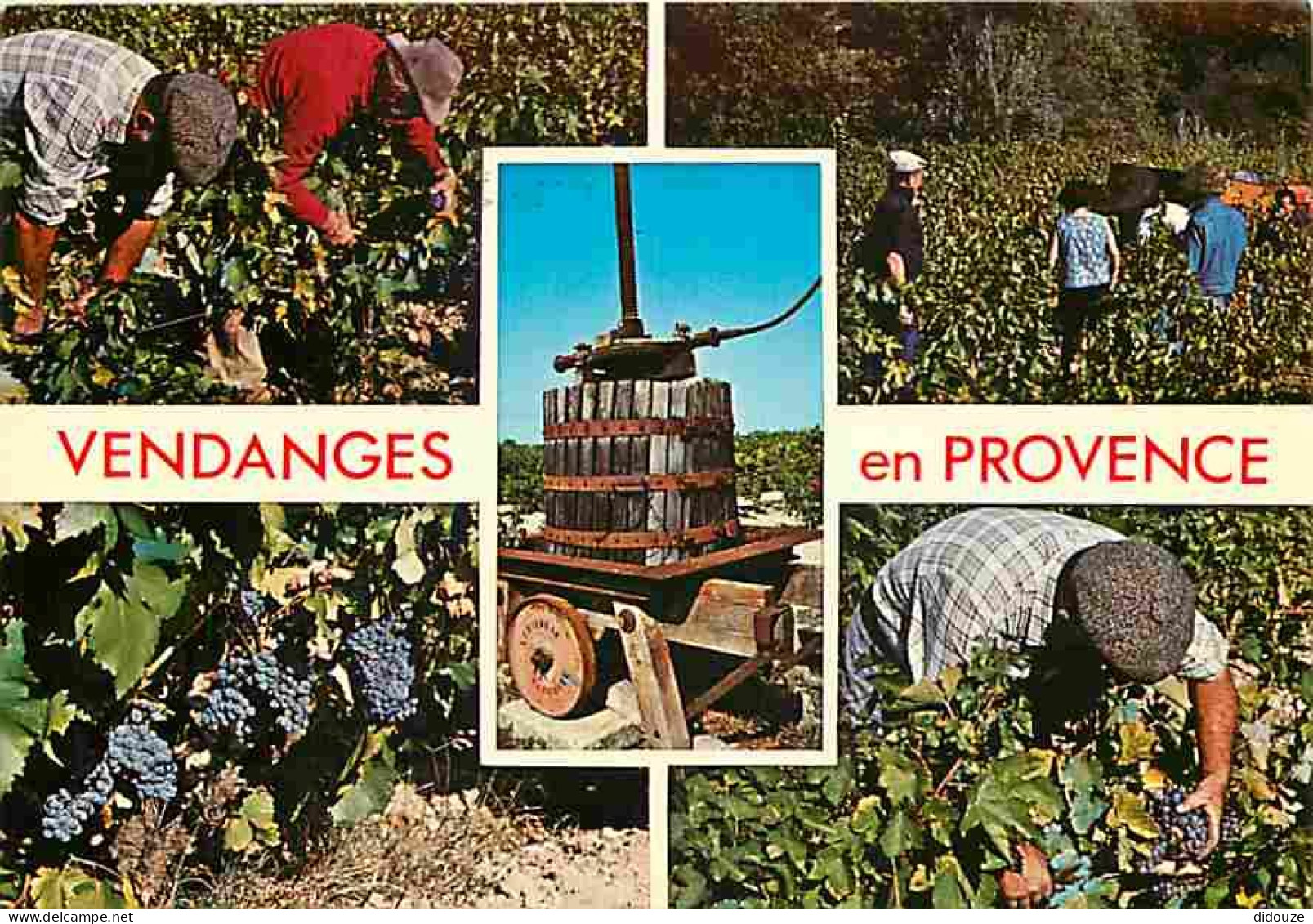 Vignes - Vendanges En Provence - Multivues - CPM - Voir Scans Recto-Verso - Weinberge