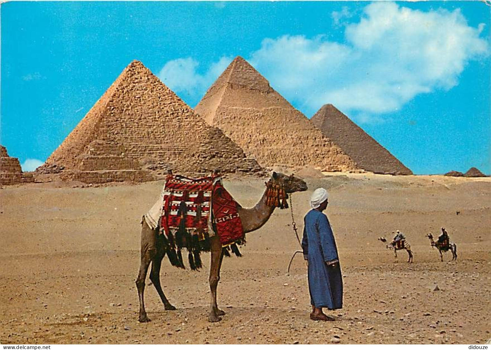 Egypte - Gizeh - Giza - Pyramids - Les Pyramides - Chamelier - Chameaux - Voir Timbre - CPM - Voir Scans Recto-Verso - Gizeh