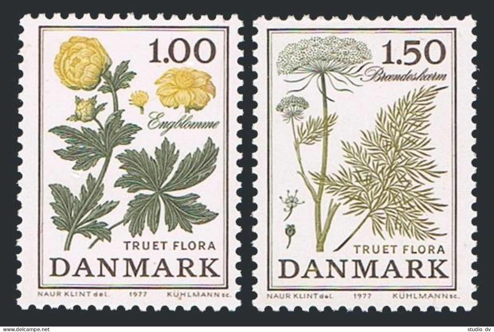 Denmark 609-610,MNH.Mi 653-654.Endangered Flora,1977.Globe Flower,Cnidium Dubium - Nuevos