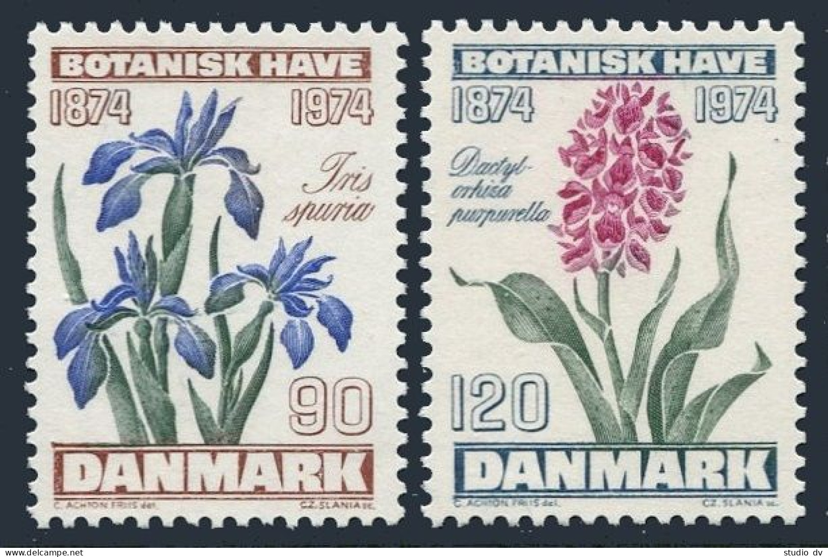 Denmark 560-561, MNH. Mi 575-576. Botanical Garden, 1974. Iris, Purple Orchid. - Ungebraucht