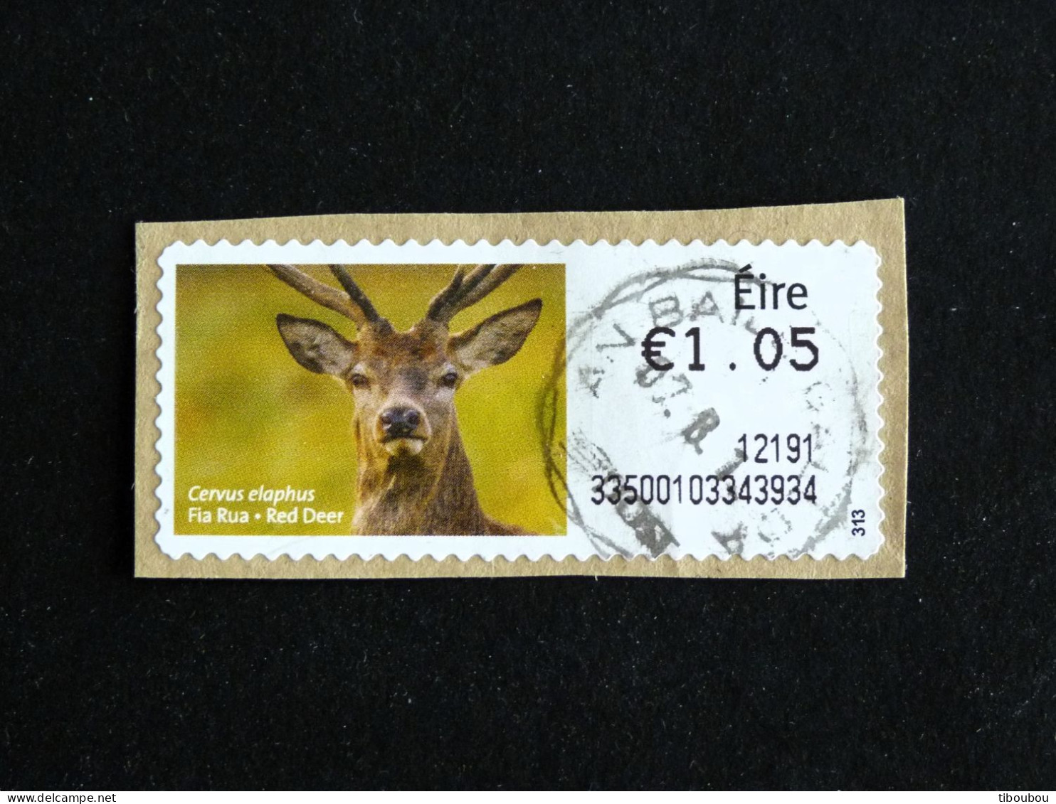 IRLANDE IRELAND EIRE YT DISTRIBUTEUR 26 CERF ELAPHE DEER STAG - Franking Labels