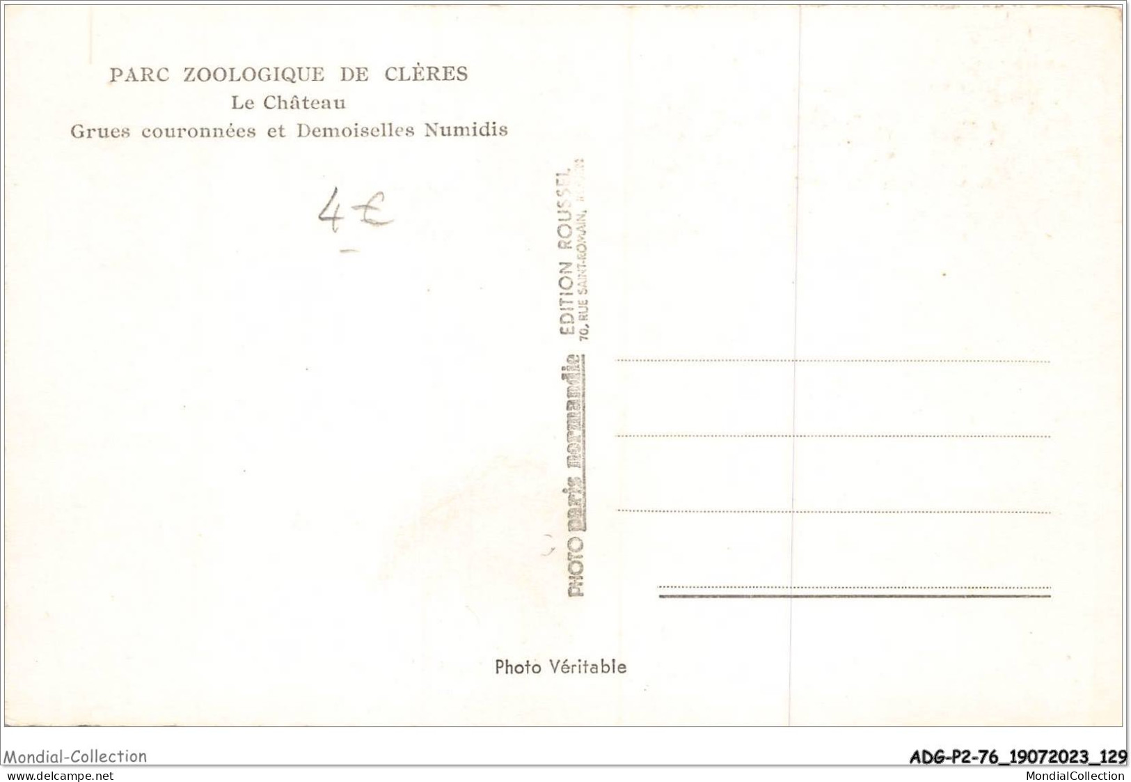 ADGP2-76-0140 - Parc Zoologique De CLERES - Le Château - Grues Couronnées Et Demoselles Numidis  - Clères