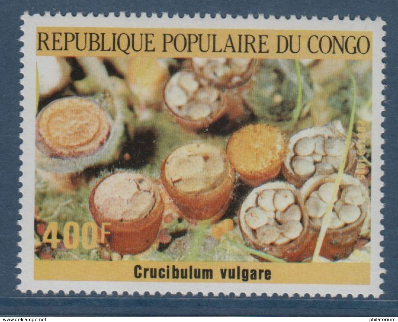 Congo, **, Yv 768, Mi 1020, SG 1011, Champignon, Crucibulum Vulgare, - Nuevas/fijasellos