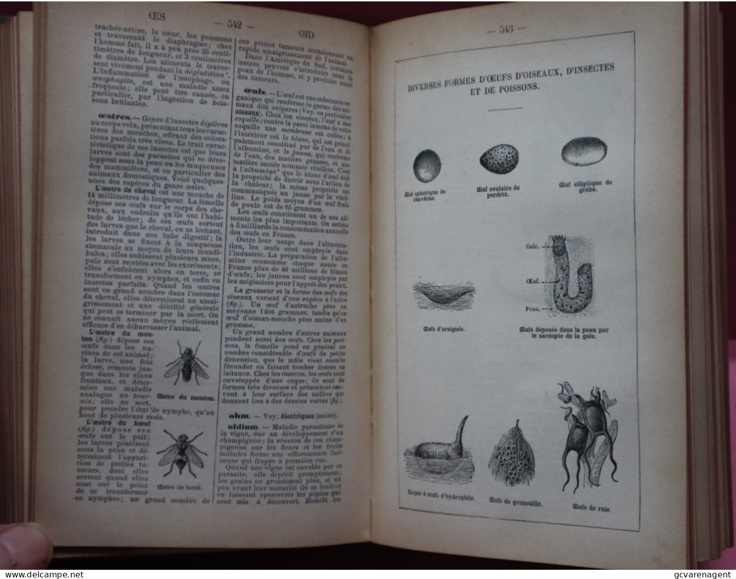 DICTIONNAIRE MANUEL ILLUSTRE DES SCIENCES USUELLES  1897 - BON ETAT - 807 PAGES - 19 X 13 X 4.5 CM  VOIR IMAGES