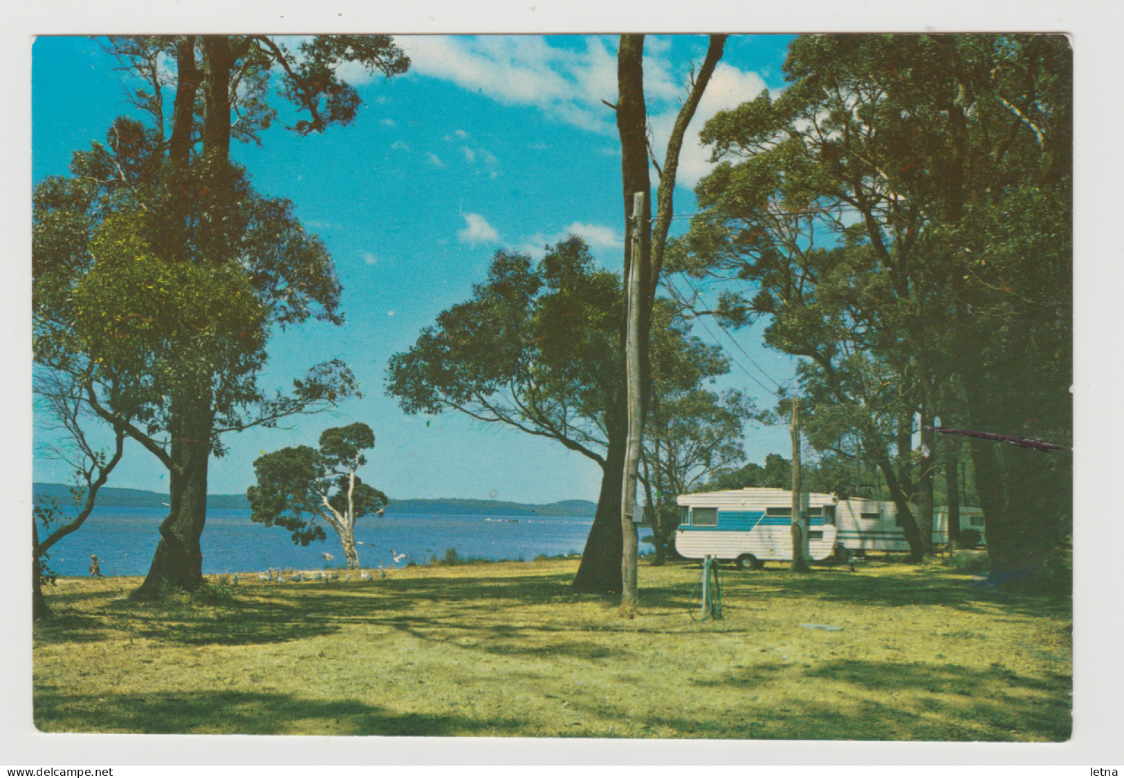 WESTERN AUSTRALIA WA Rivermouth Caravan Park Near DENMARK Emu Den3 Postcard C1970s - Other & Unclassified