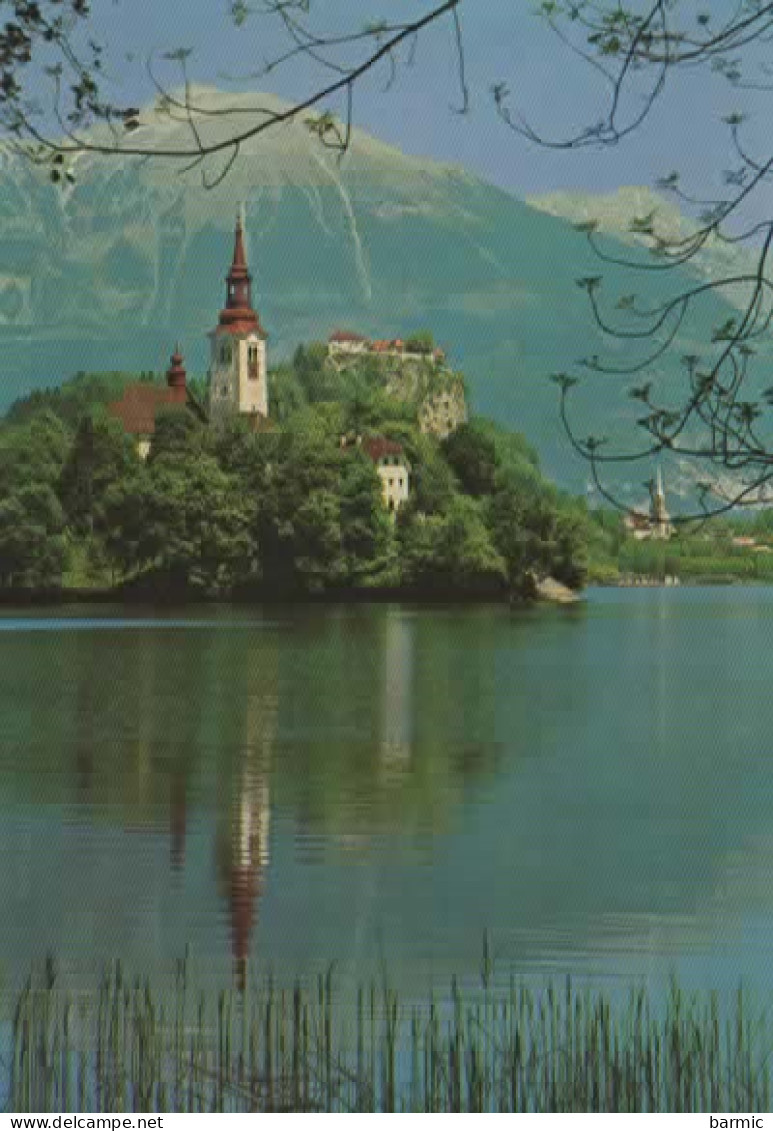 BLED, SLOVENIJA JUGOSLAVIJA COULEUR REF 15025 - Slowenien