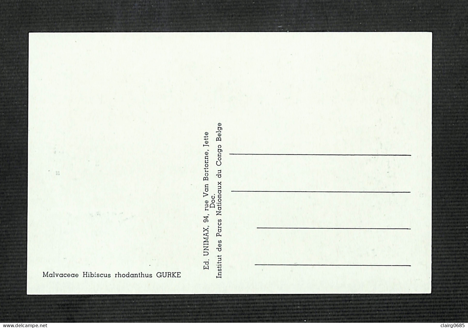 RUANDA-URUNDI - Carte MAXIMUM 1958 - Palais Du CONGO BELGE Et Du RUANDA-URUNDI - Fleurs - HIBISCUS - Autres & Non Classés
